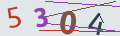 verifycode